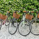 Vakantiehuis Villino Claudia Forte dei Marmi